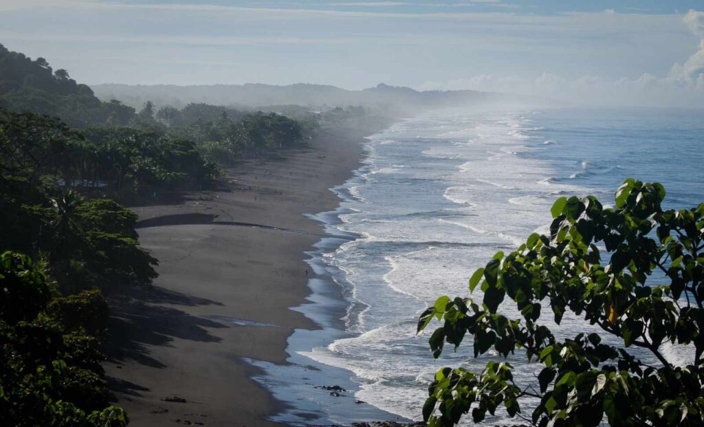 Você sabe o que é Surfnomia?