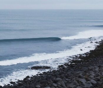 Você sabe o que é Surfnomia?